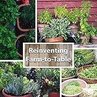 Vista 6 de Surtidos de hierbas culinarias, medicinales y té de hierbas (surtido básico, de lujo y prémium)