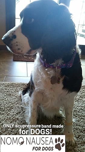 Miniatura 4 de NOMO Peppermint - Bandas de alivio de mareo para aromaterapia para perros, pulseras antináuseas con acupresión suave, banda de alivio de náuseas de
