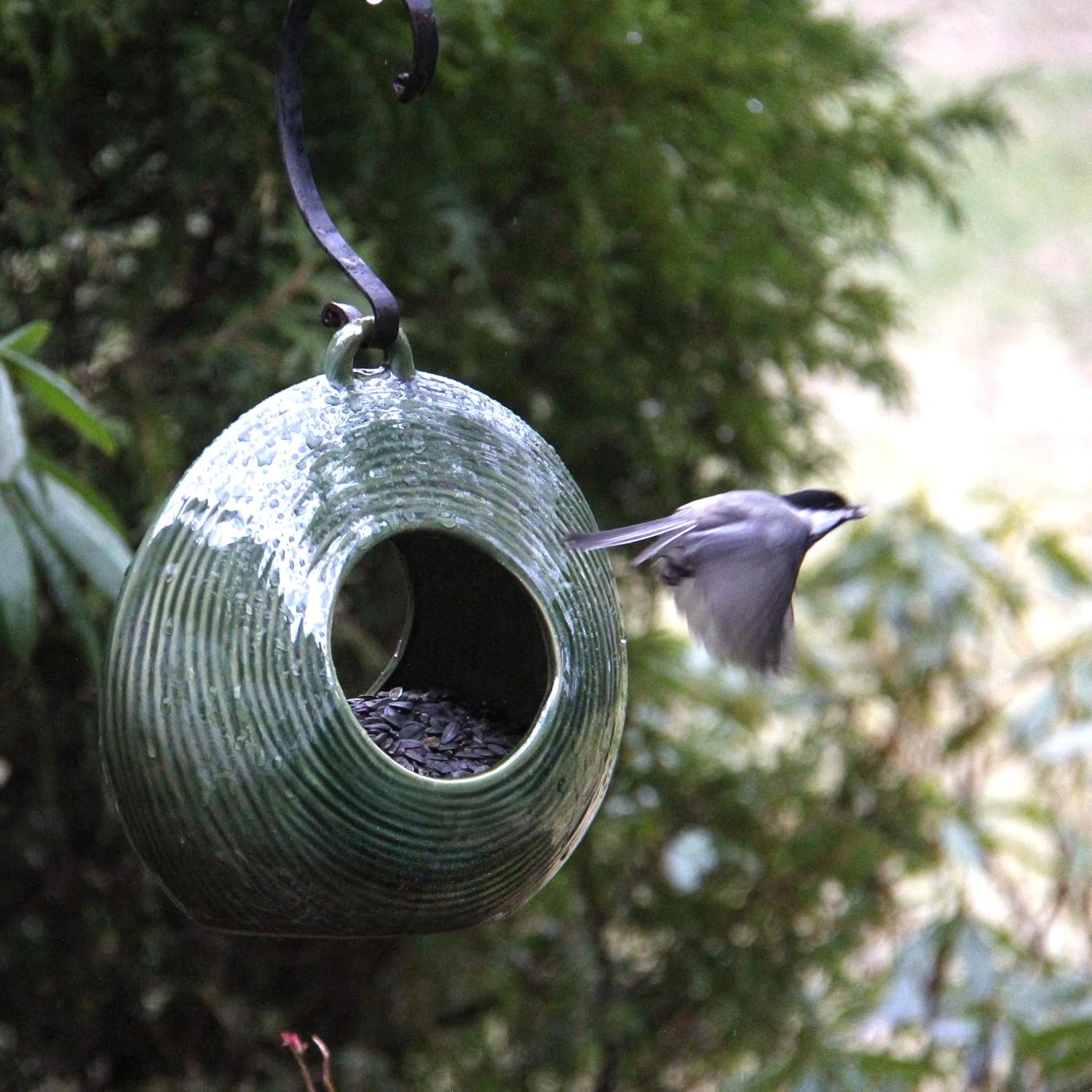 Byer of Maine Circle Fly Through Heather Green Bird Feeder for Outside, High Fired Porcelain Stoneware with Glossy Glaze, 3lbs
