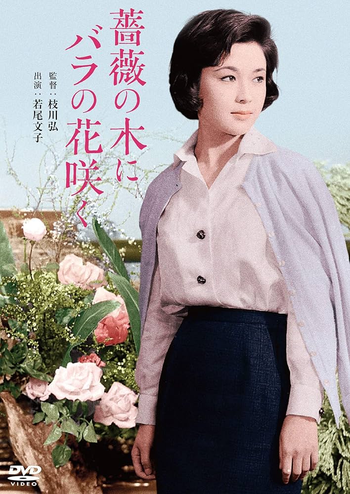 Amazon.co.jp: 薔薇の木にバラの花咲く [DVD] : 若尾文子, 角