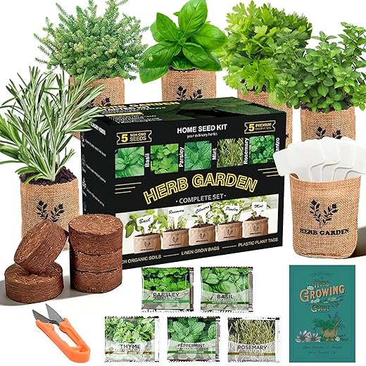 Meekear 5 Herb Indoor Starter Kit, Complete Planting Set for Kitchen Herb Garden DIY & Gift