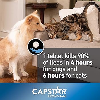 nexgard chewables for dogs amazon