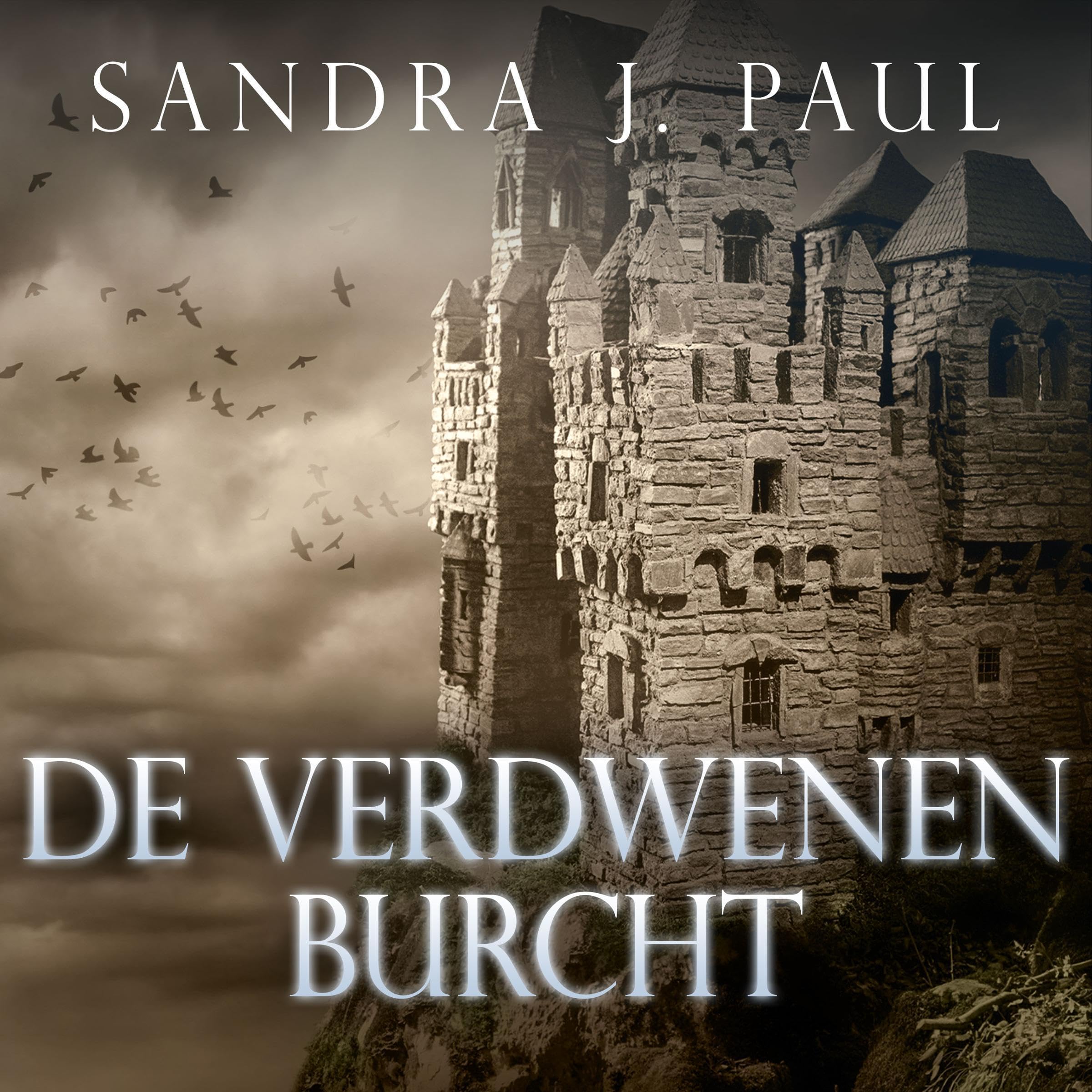 Cover art for De Verdwenen Burcht