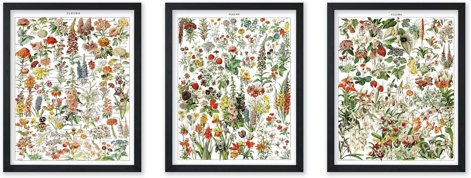 Poster Master 3-Piece Vintage Adolphe Millot Poster - Retro Botanical Print - Fruit Art - Vegetable Art - Gift for Him, Her - Great Decor for Farmhouse, Kitchen, Dining Room - 8x10 UNFRAMED Wall Art