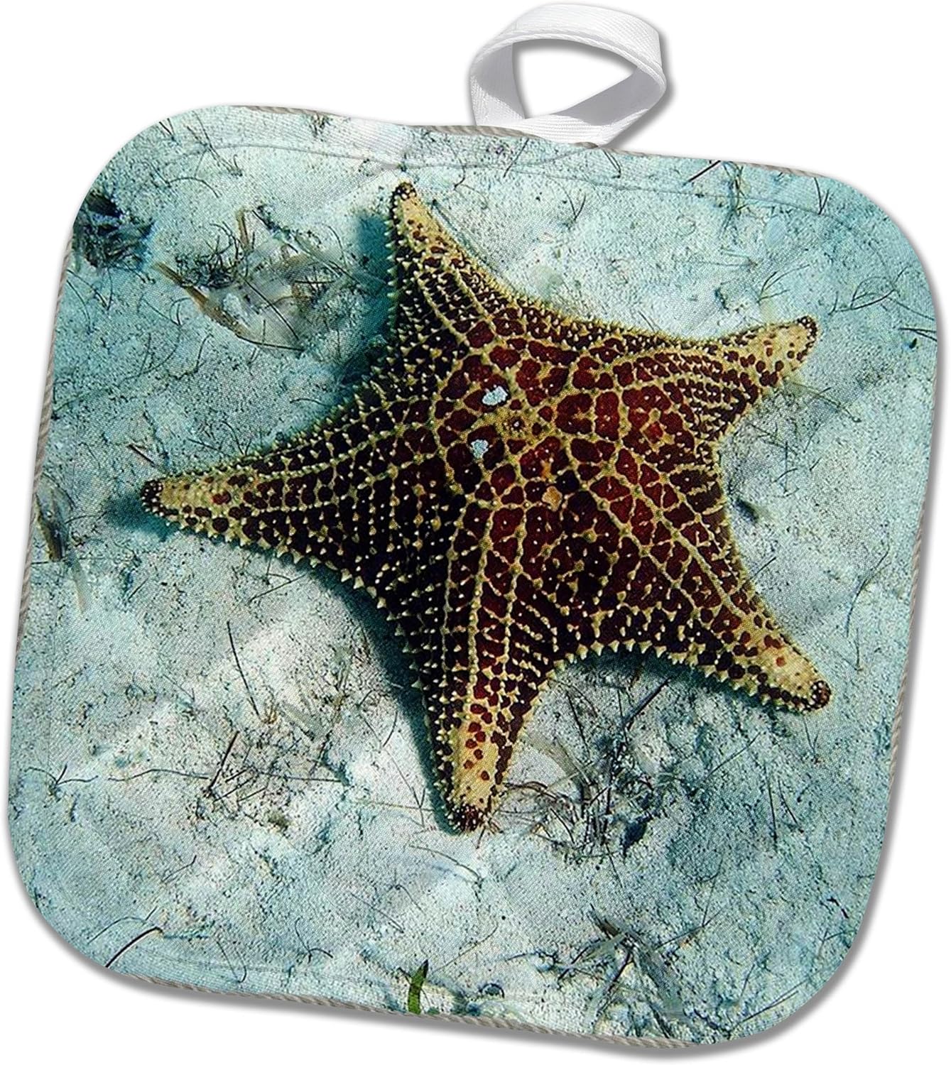 3D Rose Underwater Starfish with Nautical Rope Frame Pot Holder, 8" x 8"