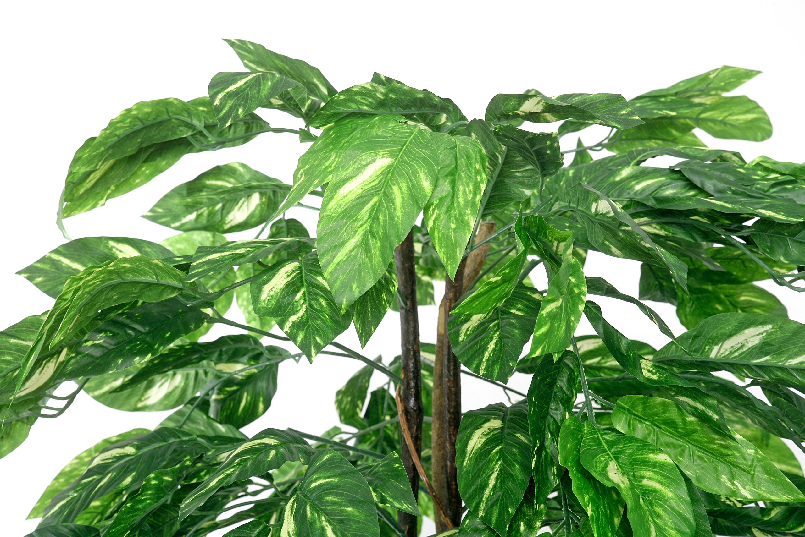 Amazon.de: knstlicher Dieffenbachiabaum 1,80 m Kunstbaum Kunstpflanze  Echtholzstamm - McPalms