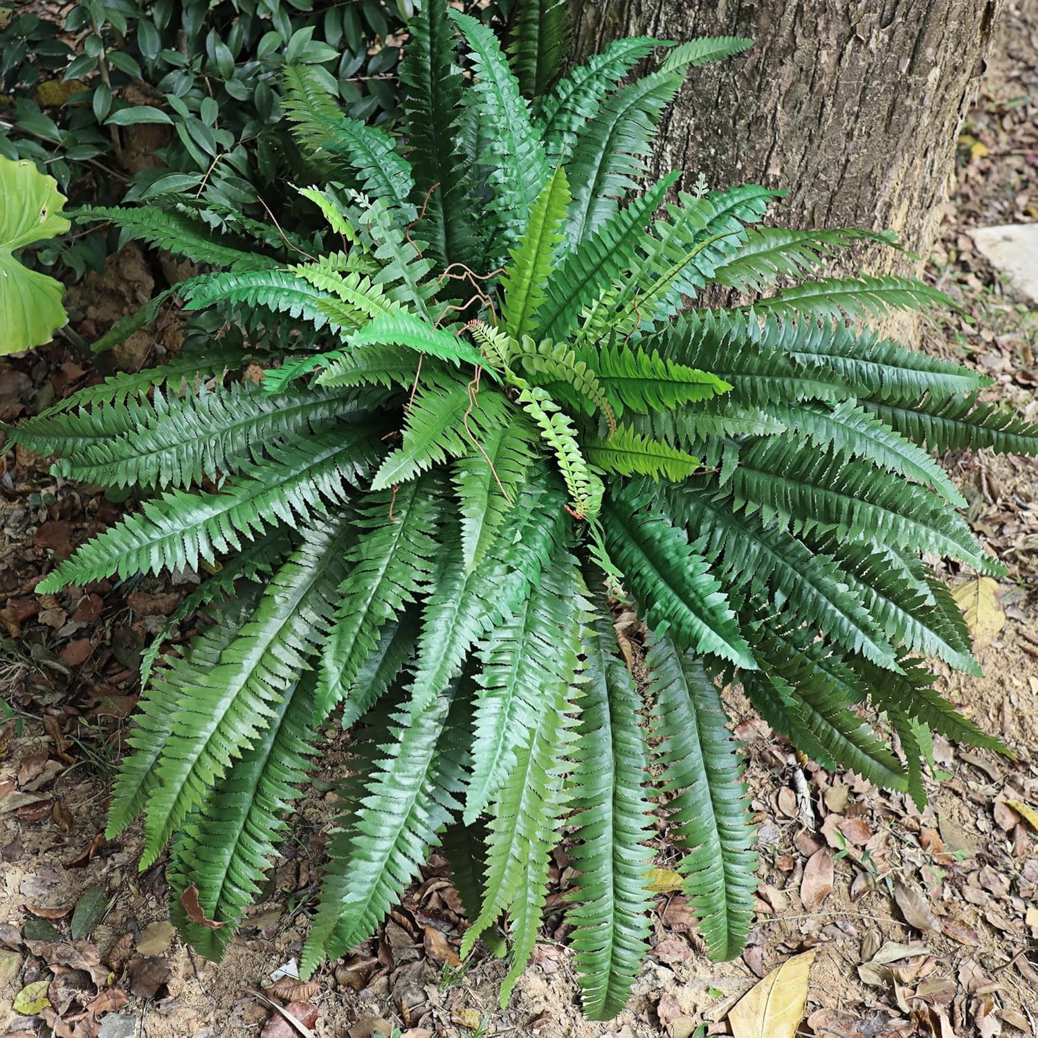 Fake Ferns, 48in Large Artificial Ferns for Outdoors & Indoors, 88 Fronds Lifelike Silk Faux Fern Greenery Plants Ideal for Porch Planters Windowsill Garden Home Decor, Potted or Hanging, UV Resistant - Image 7