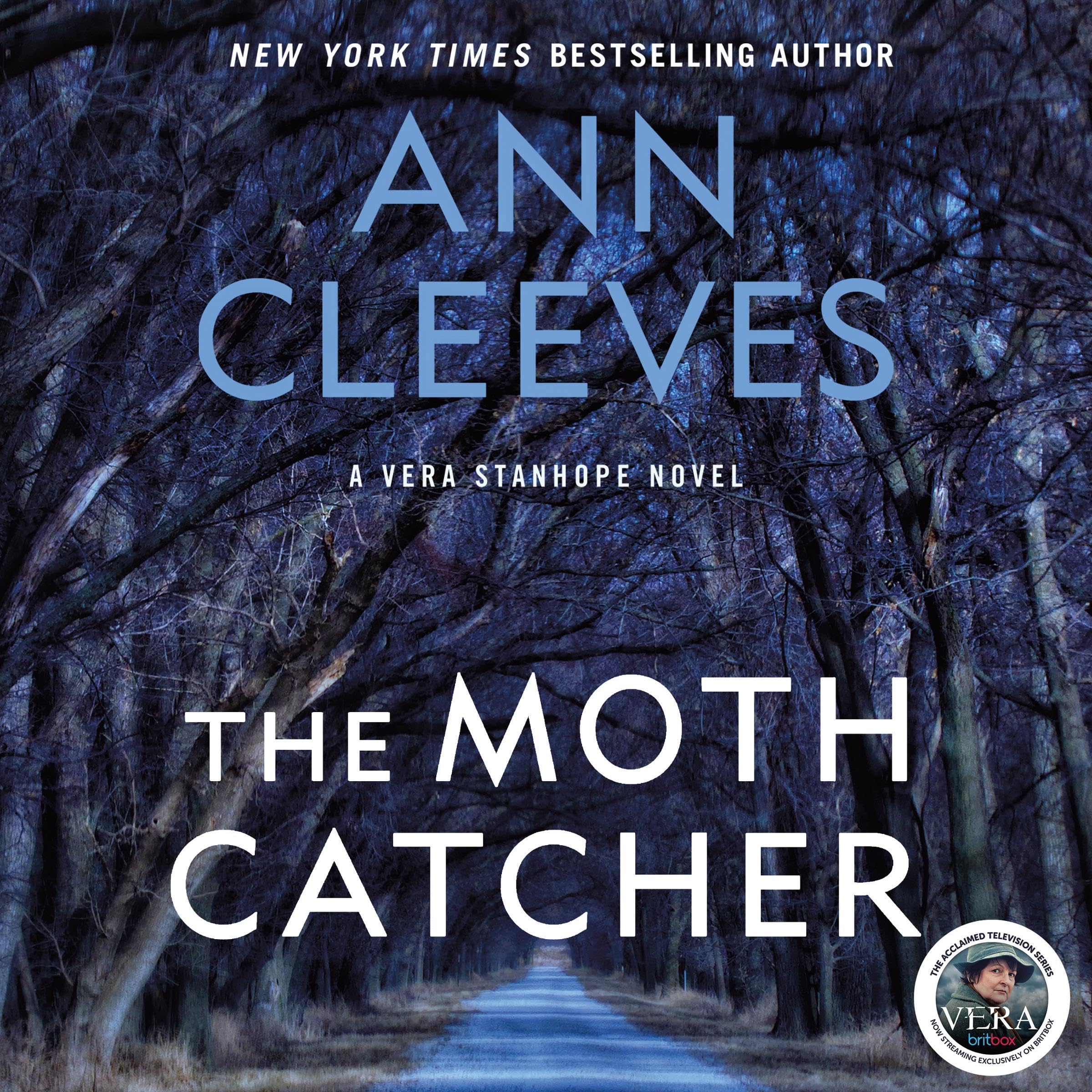 Cover art for The Moth Catcher