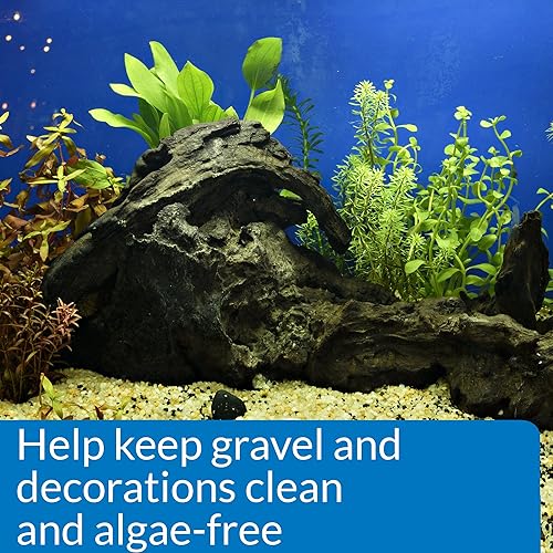 Vista 4 de API Stress Zyme Solución de limpieza para agua dulce y agua salada de acuario