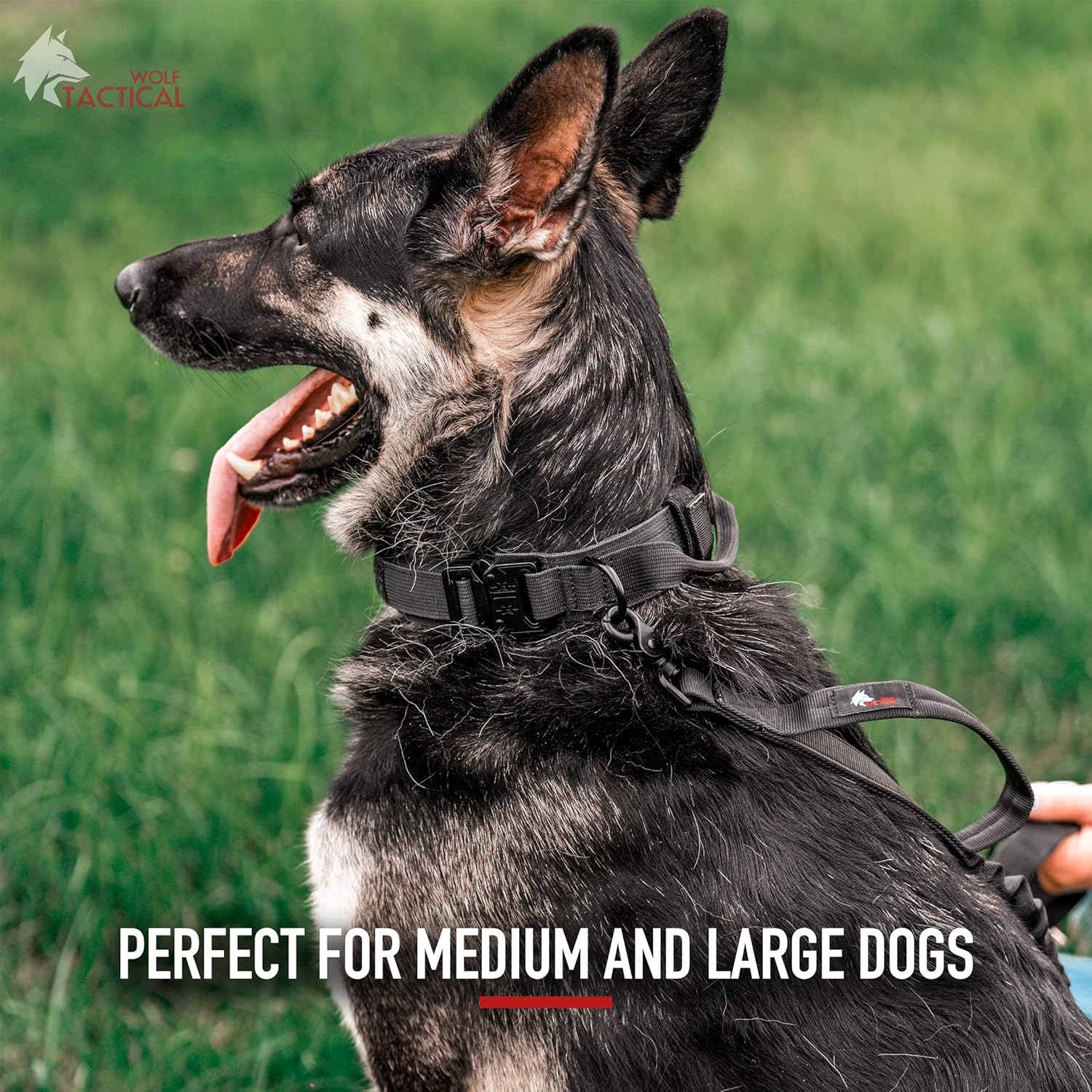 Wolf Tactical Dog Collar - Heavy Duty Military Collar for Large Breeds - Black, XL
