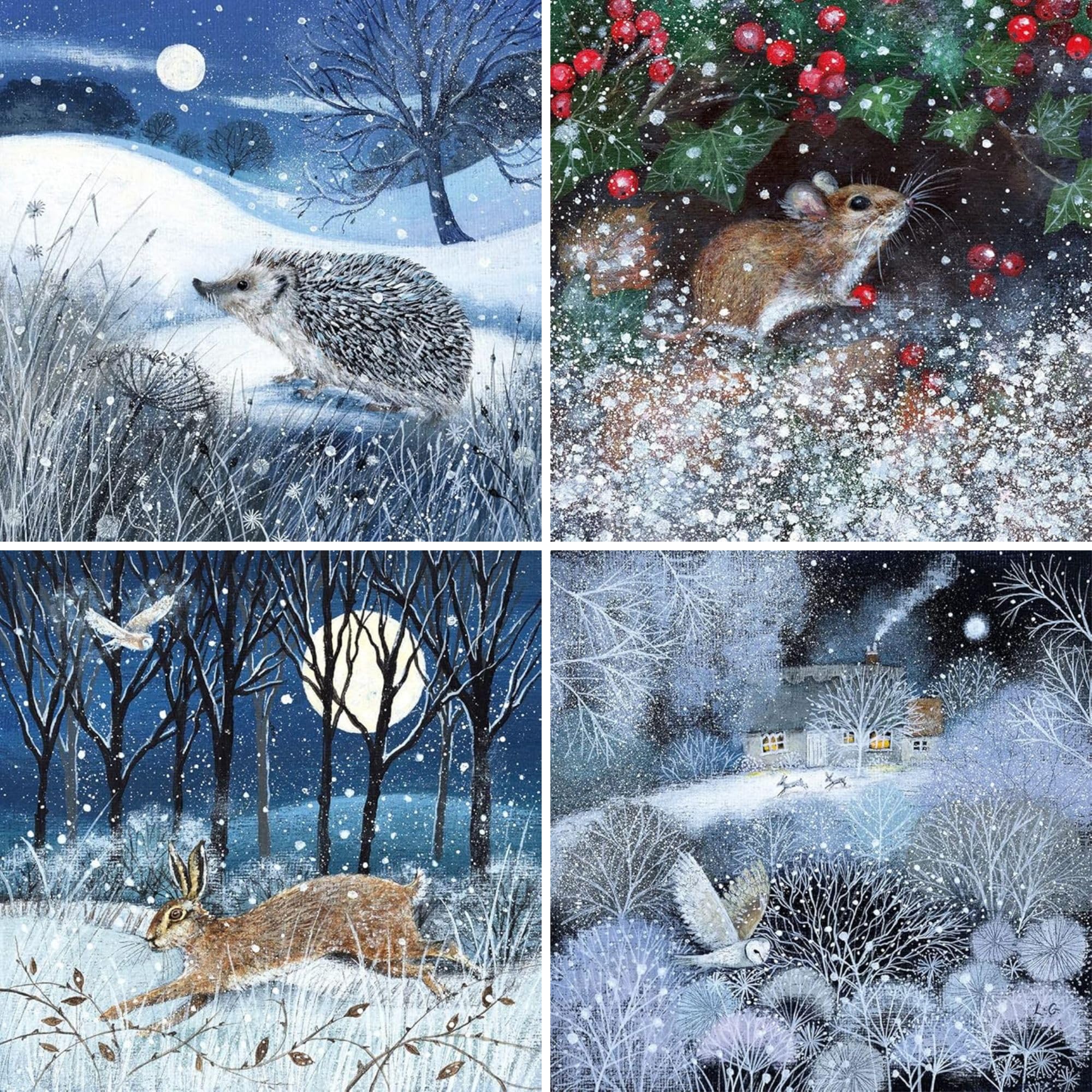 Museums & Galleries Charity Christmas Cards - Pack of 20 Assorted Premium Greeting Cards - Festive British Wildlife in the Snow - (5 Each of 4 Designs) - Lucy Grossmith - In Aid of UK Charities