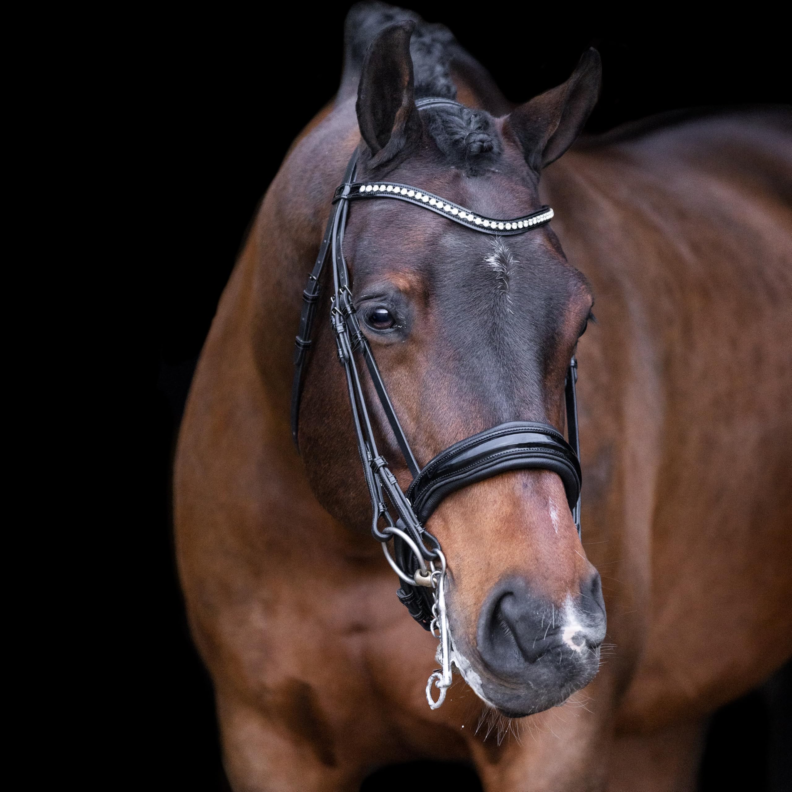 Imperial Riding Noir Combined Riding Bridle And Noseband Athena