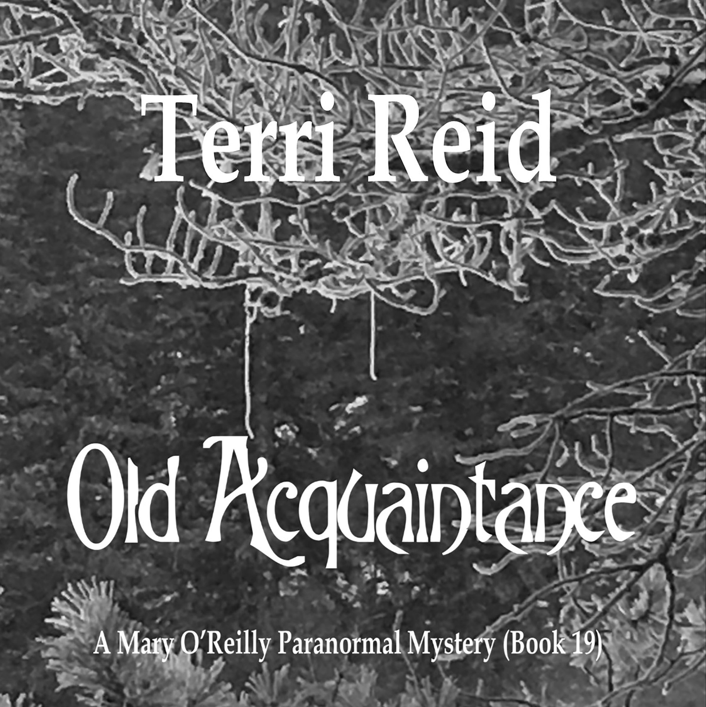 Cover art for Old Acquaintance
