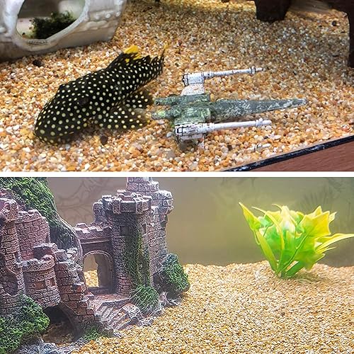 Miniatura 5 de Rocas de grava de cactus y guisantes de 45 libras, guijarros de 15 pulgadas para plantas de interior, rocas suculentas naturales y rocas de río