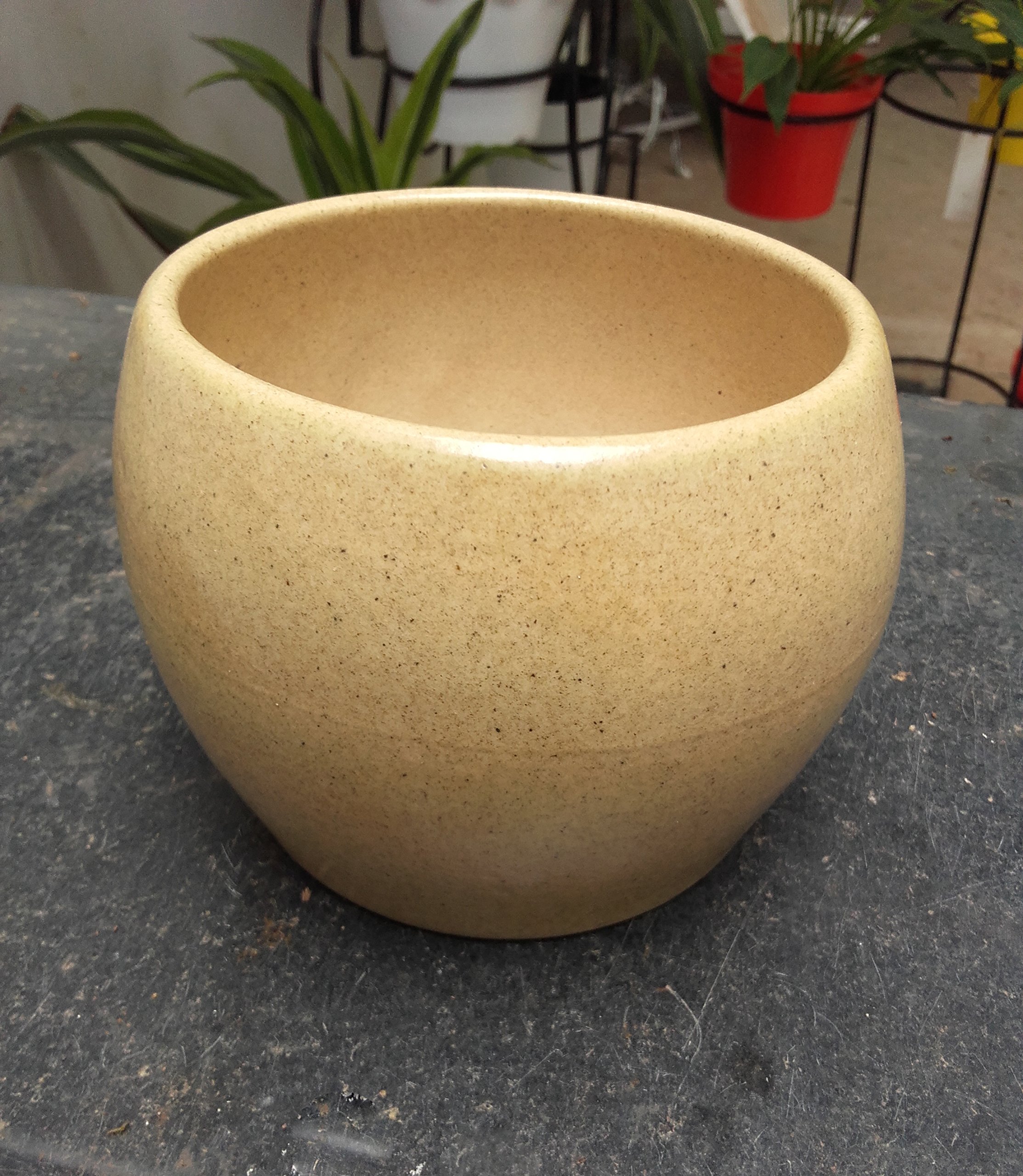 CAPPL Round Shape Ceramic Pot (Pack of 2) for Home and Office-image-23