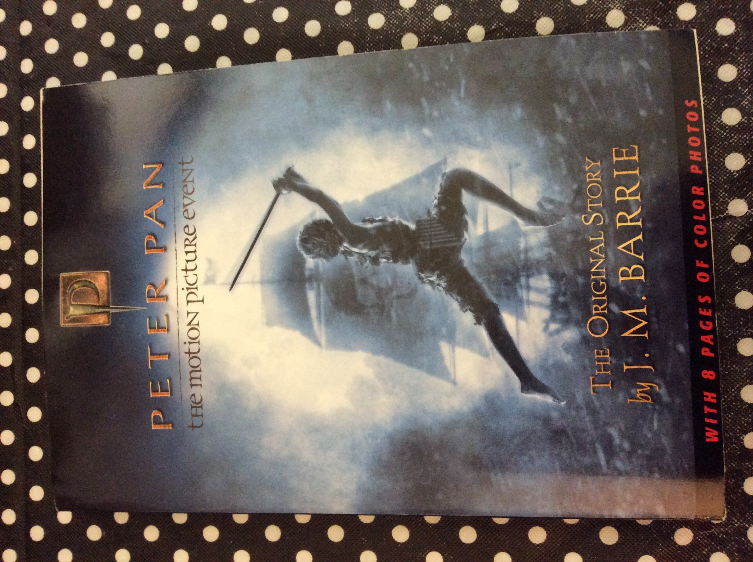 Buy Peter Pan: Adventures in Neverland — BookShops.in