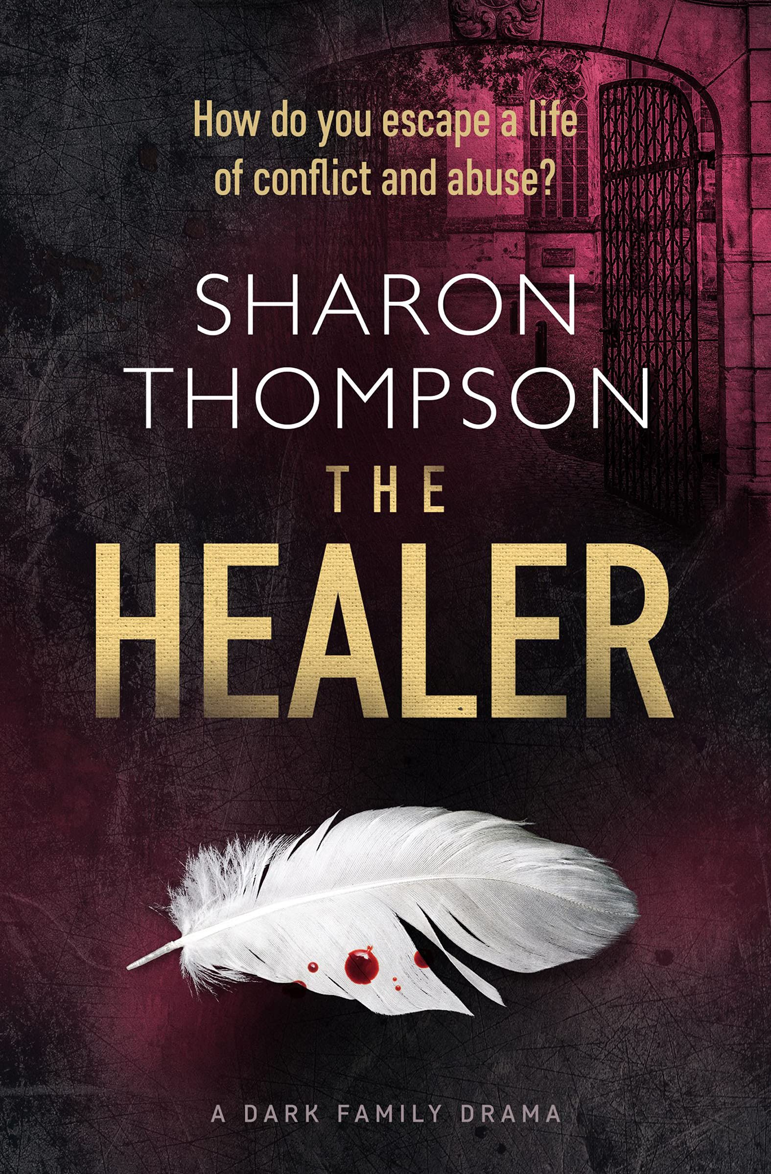 The Healer: a dark family drama