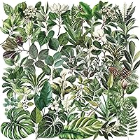 50PCS Green Leaf Transparent PET Stickers - Waterproof Sunproof Decals for Scrapbook, Bullet Journal, Water Bottles, Laptops & DIY Crafts
