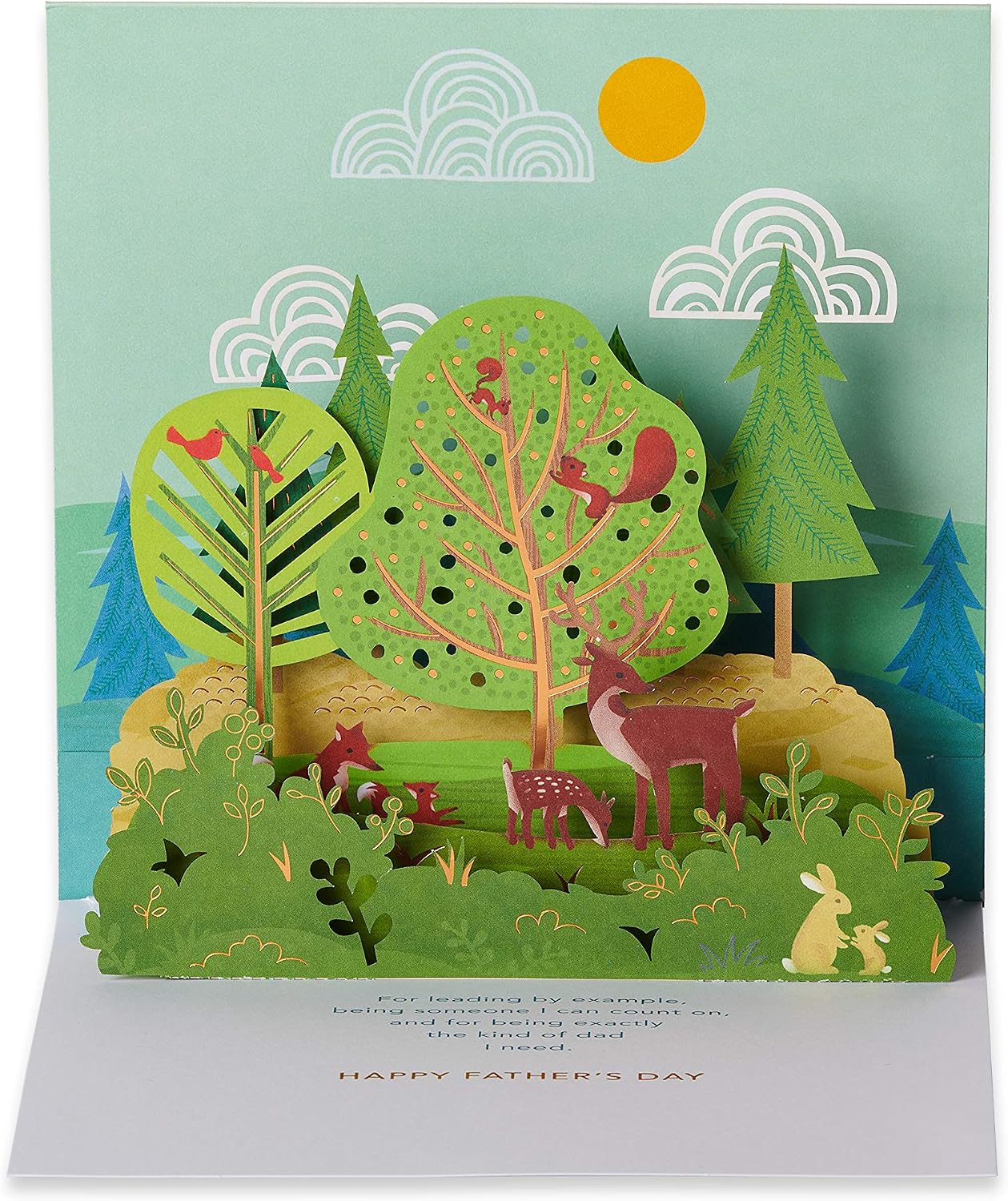 American Greetings Father's Day Pop Up Card for Dad (Leading by Example)