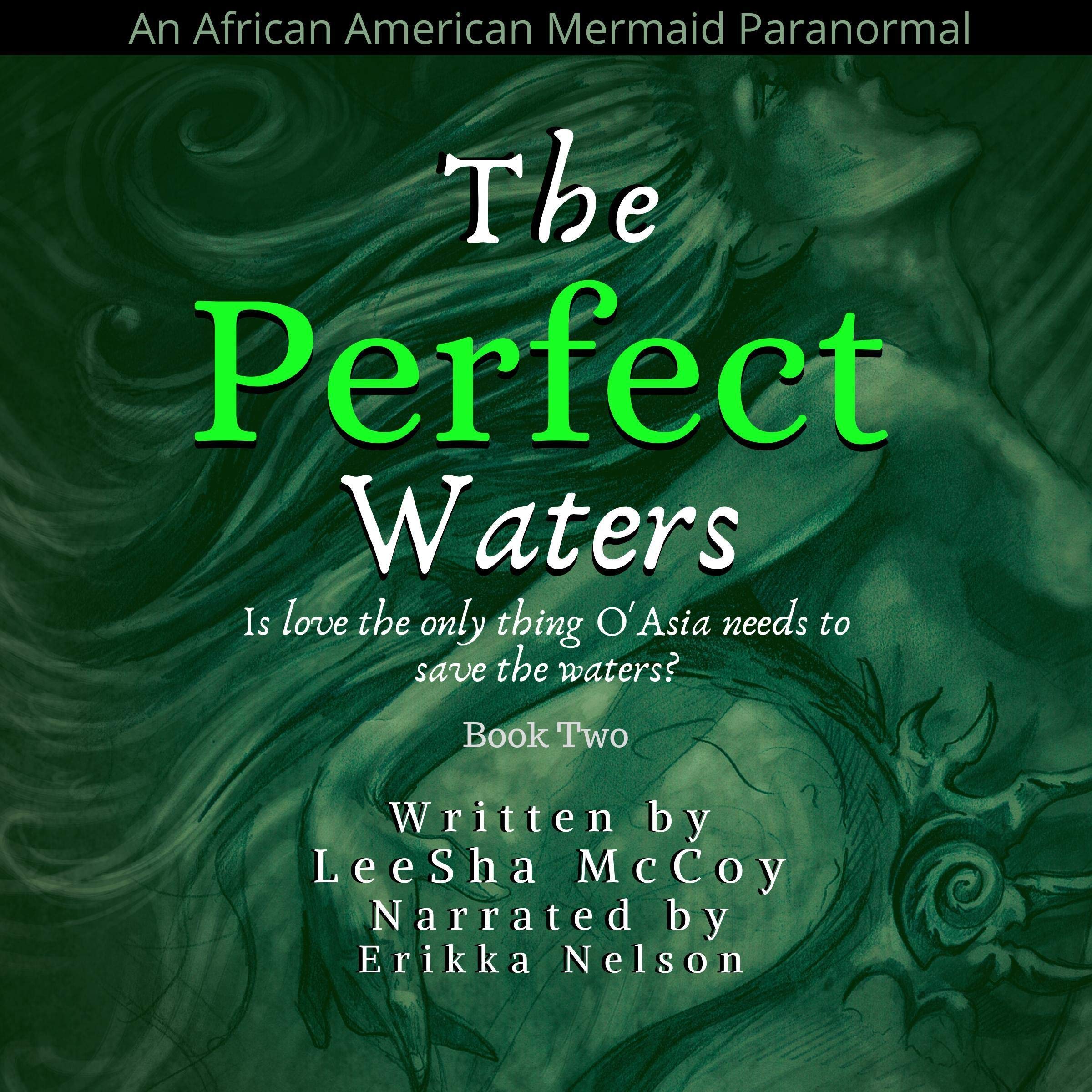 Cover art for The Perfect Waters: Book 2