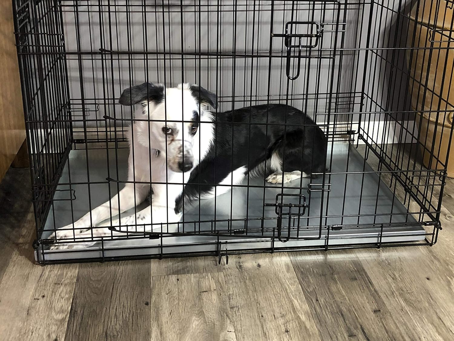 Indestructible dog crate tray Clearance