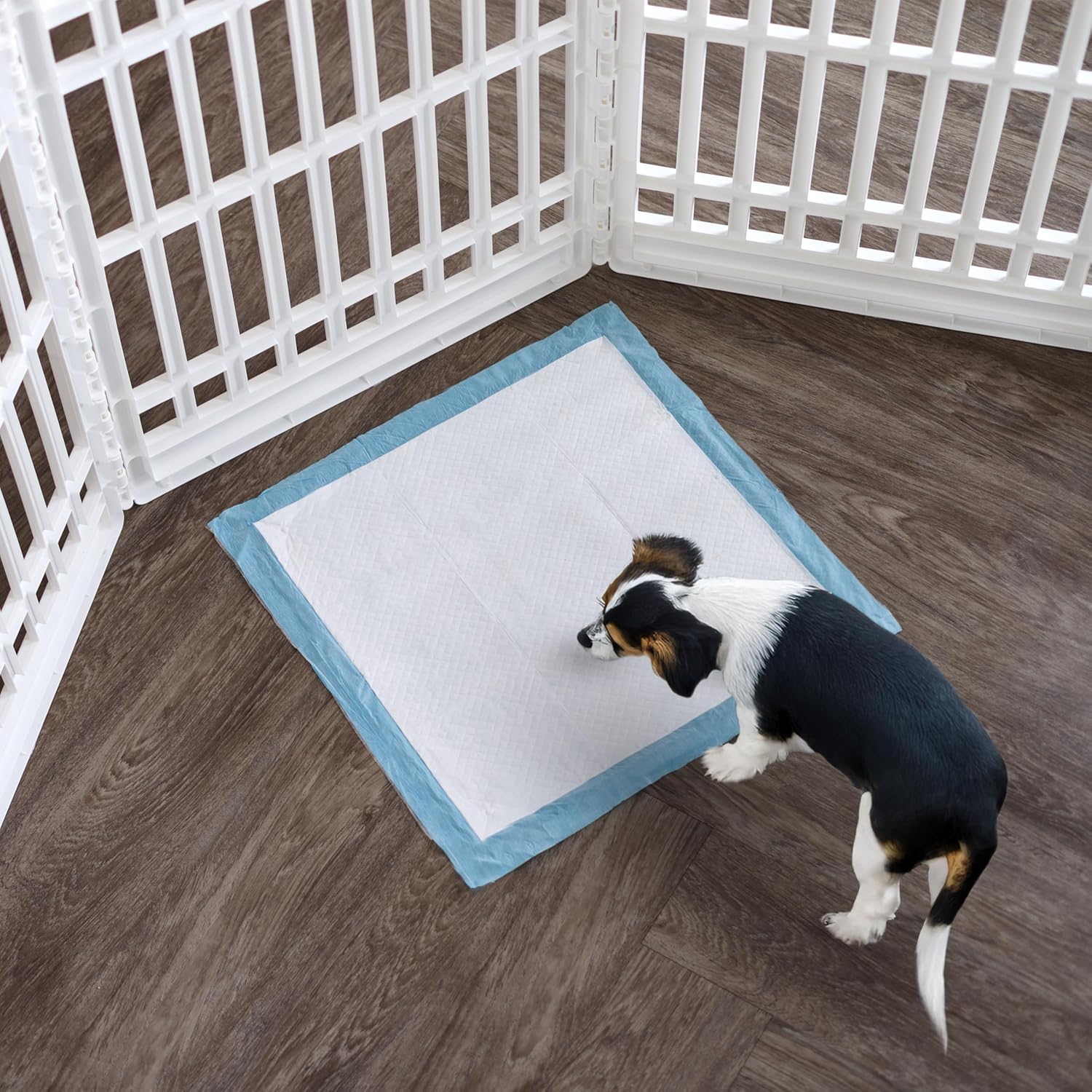 IRIS USA 34" 8-Panel Dog Playpen with Door, 63 x 63 x 35, Puppy Playpen, Dog Play Pen Indoors + Pee Pads for Dogs – Puppy Essentials, Quick Dry, Leak Proof 22" x 22", White