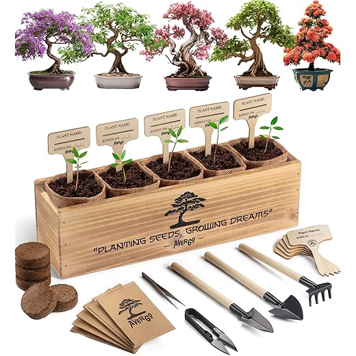 Bonsai Tree Kit for Beginners – 5X Unique Japanese Bonzai Trees | Complete Indoor Bonsai Starter Kit for Growing Bonsai Plants with Tools & Planters – DIY Gardening Gifts for Women & Men