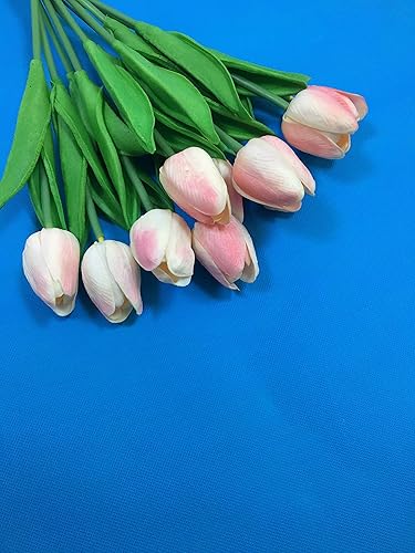 Vista 28 de Fondo de fotografía de 5 x 7 pies, tela no tejida, color sólido, pantalla blanca, telón de fondo para fotografía, accesorios de estudio