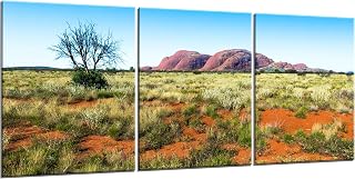 Kata Tjuta Panorama 3 Piece Canvas Wall Art. The Olgas Triptych Photography Print.