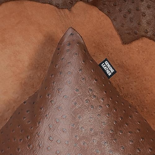Miniatura 5 de Funda de almohada de piel de cordero  Funda decorativa de cojín para sofá  Fundas para sala de estar y dormitorio, 20 x 20 pulgadas  Avestruz