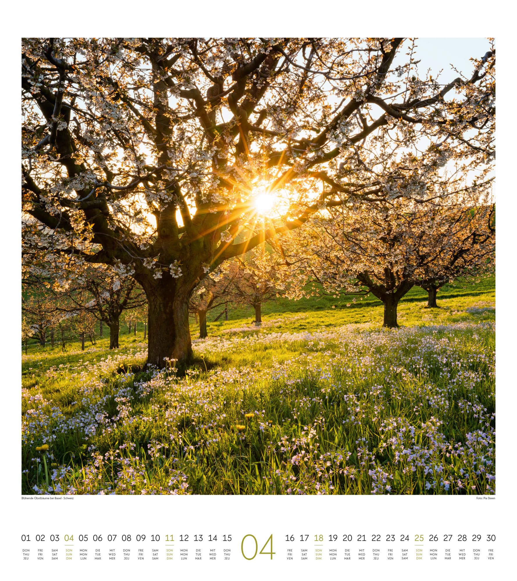 Lichtblicke Kalender 2027 | Stimmungsvoller Natur-Kalender im großen Hochformat (48x54 cm) | Landschaften im Licht der Sonne