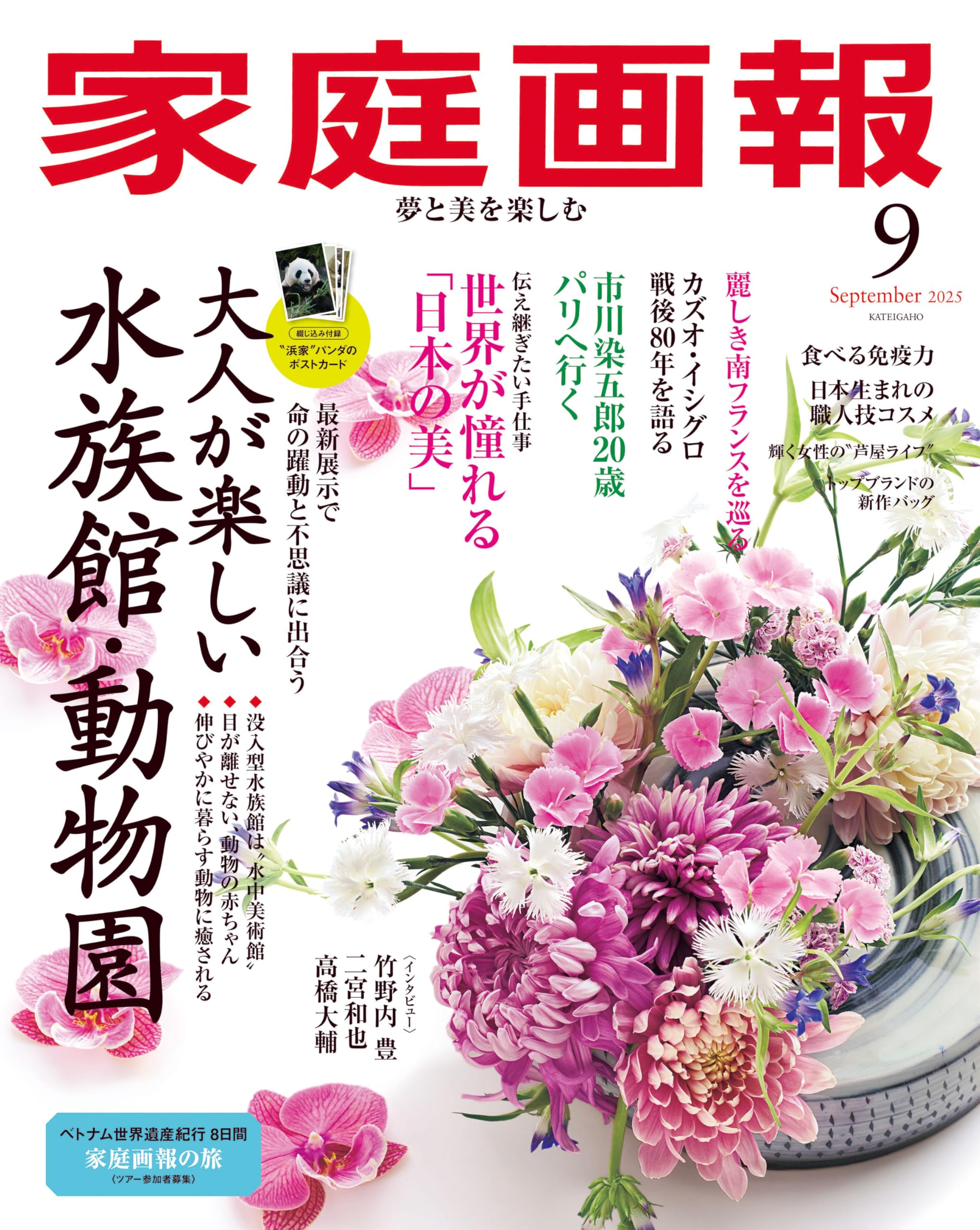 家庭画報 2017年10月号 家庭画報 プレミアムライト 2017年10月号 (発売日2017年09月01日