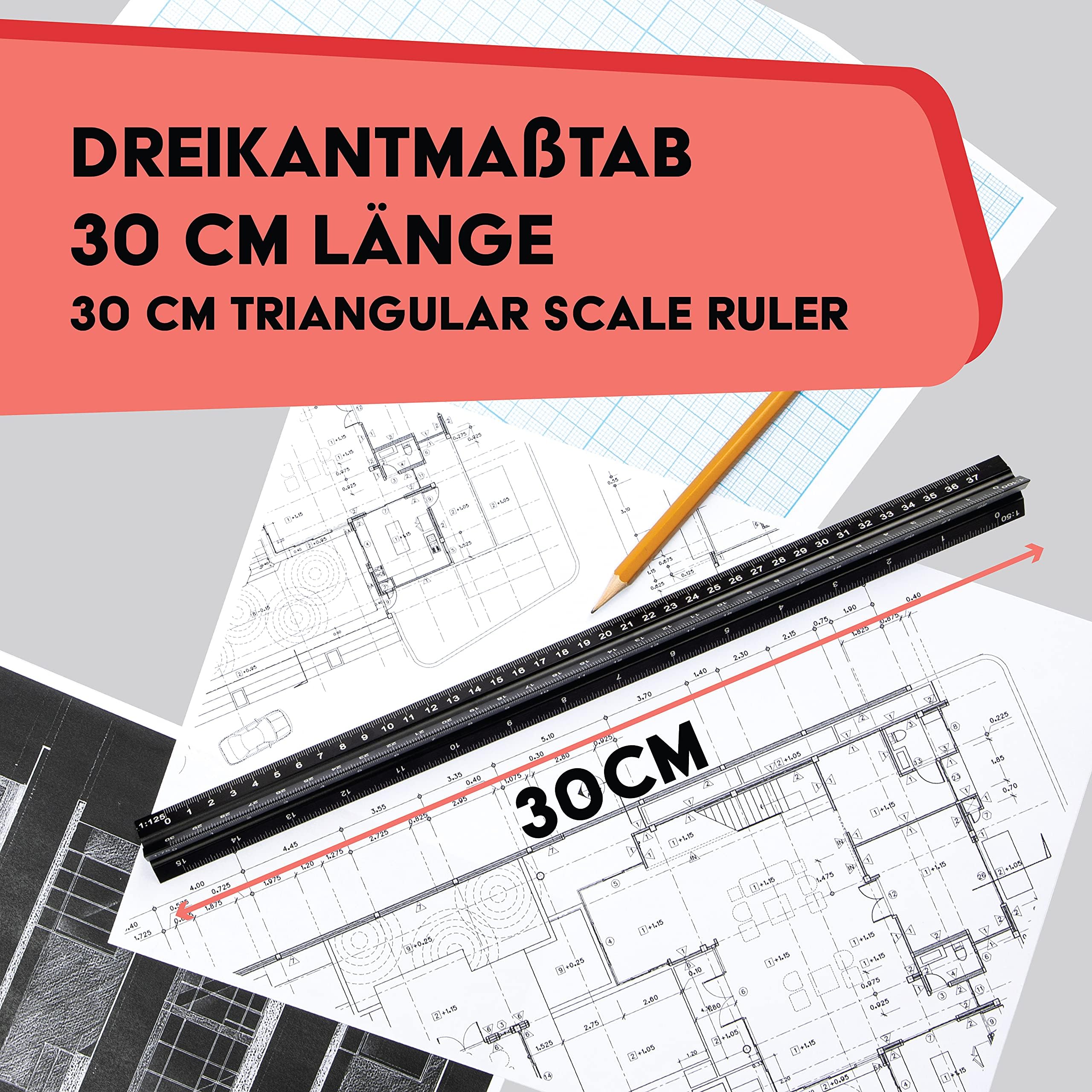 WINTEX Escalímetro Profesional - Regla Triangular de Aluminio - 30 cm - 1:20 1:50 1:75 1:100 1:125 - Con Bolsa de Transporte