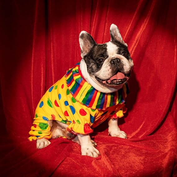 Fitwarm Halloween Dog Clown Costume, Funny Clothes for Small Dogs Girl Boy, Pet Outfit, Yellow, Medium