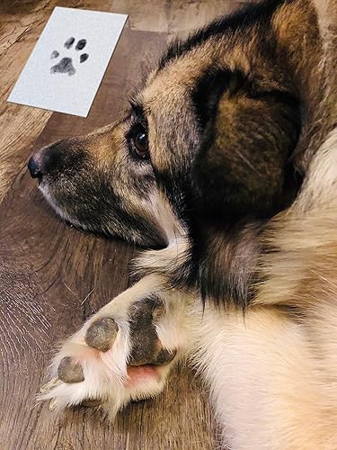 Miniatura 7 de Green Pollywog - Almohadilla de tinta sin tinta extra grande Clean Touch para mascotas  huellas de patas para perros y gatos no tóxica  Kit de