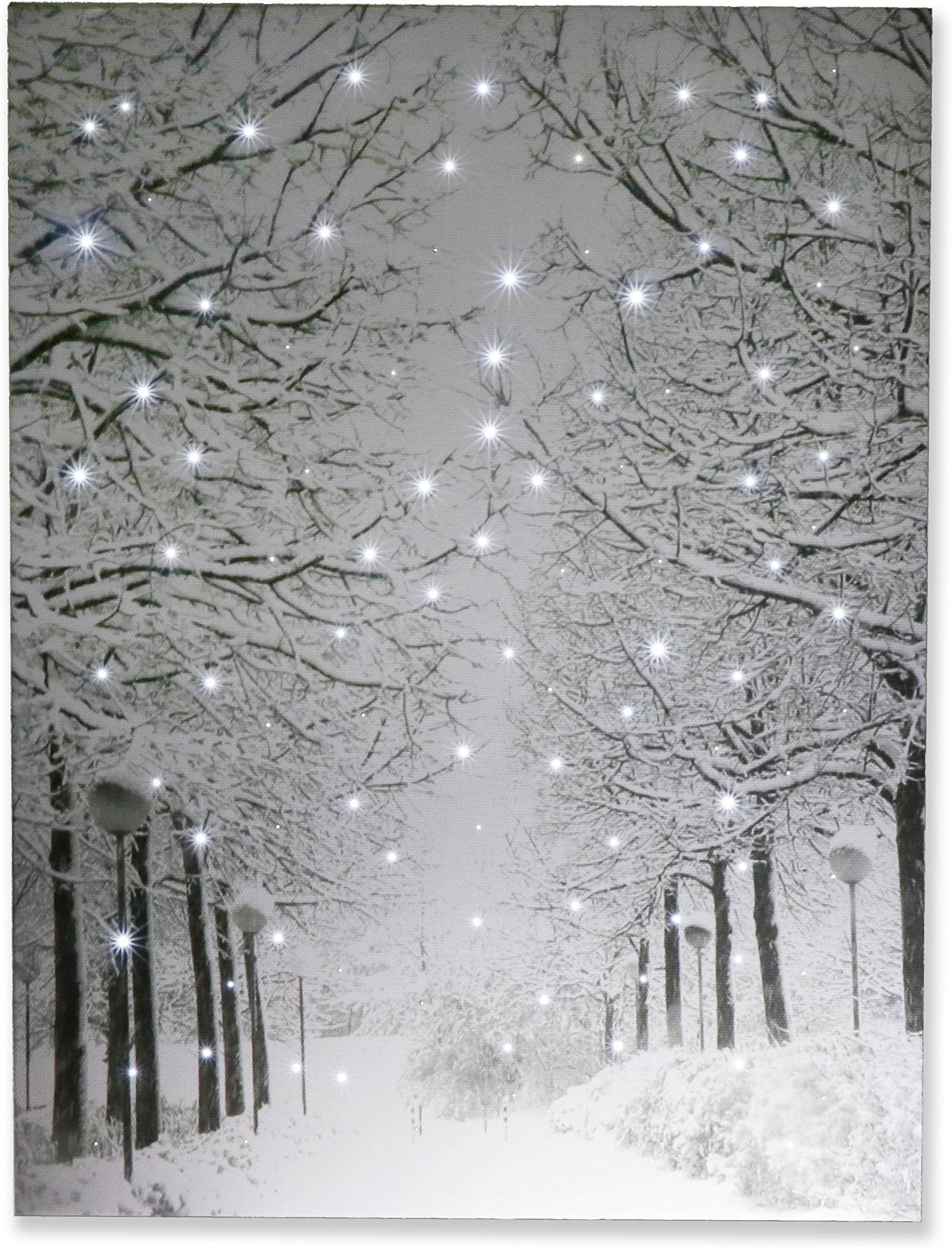 Snowy Winter Path Light Up Poster Sparkling Canvas Wall Art with Bright LED Lighting | 15.75" x 11.75" Perfect Size for Home, Living Room, Office or Classroom | Battery Powered