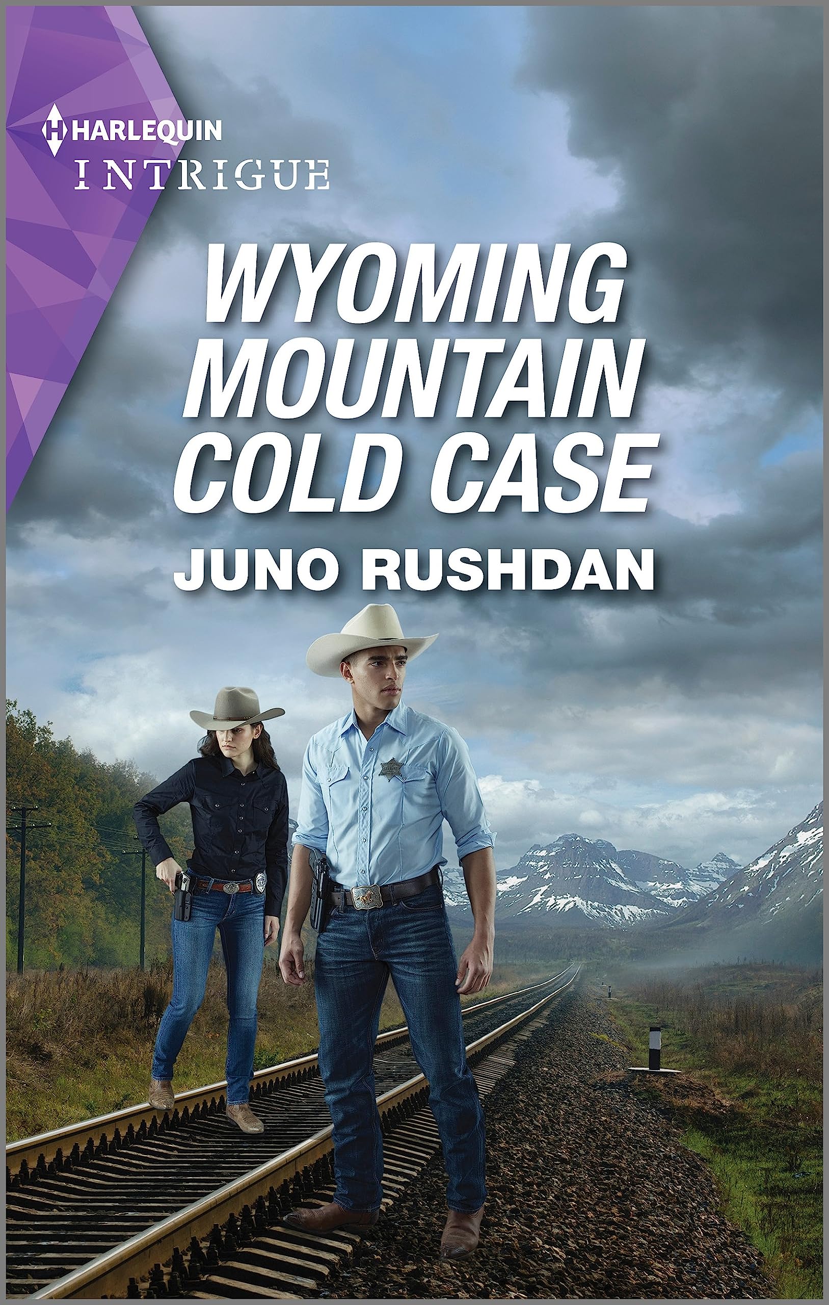 Wyoming Mountain Cold Case (Cowboy State Lawmen Book 6)