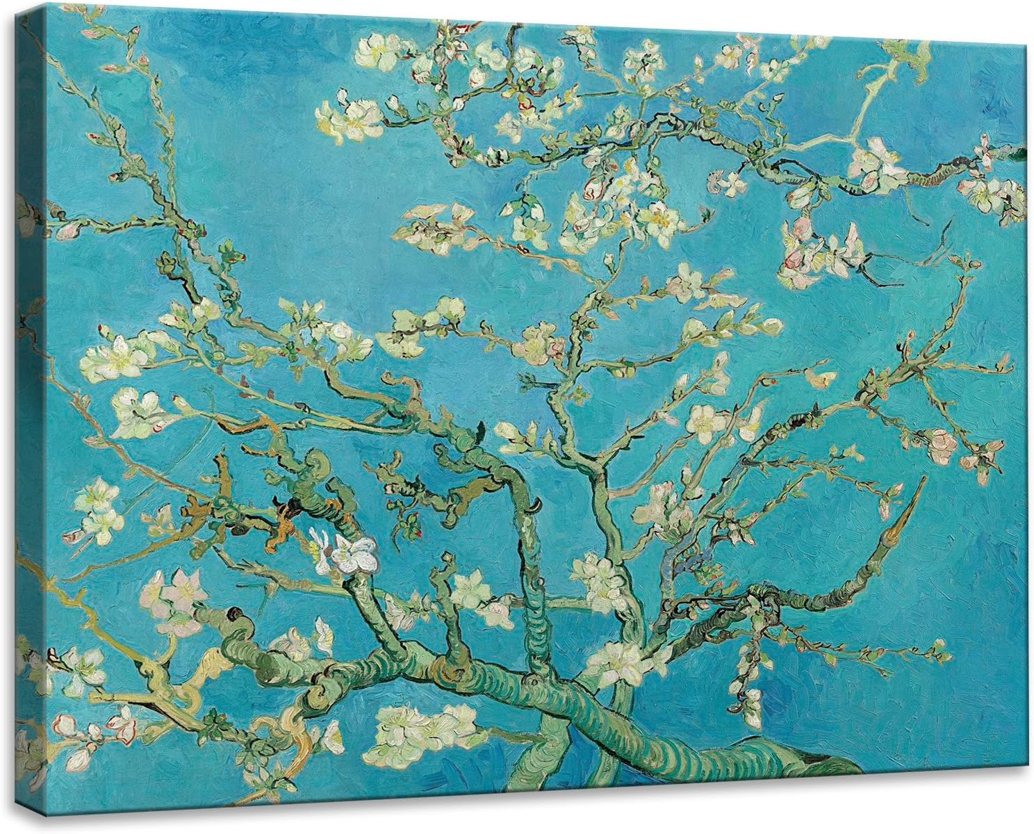 Vincent Van Gogh De Bloeiende Amandelboom 3D Handgemaakte Textuur Print Op  Doek Extra Grote Bloemen : Amazon.nl: Wonen \u0026 keuken