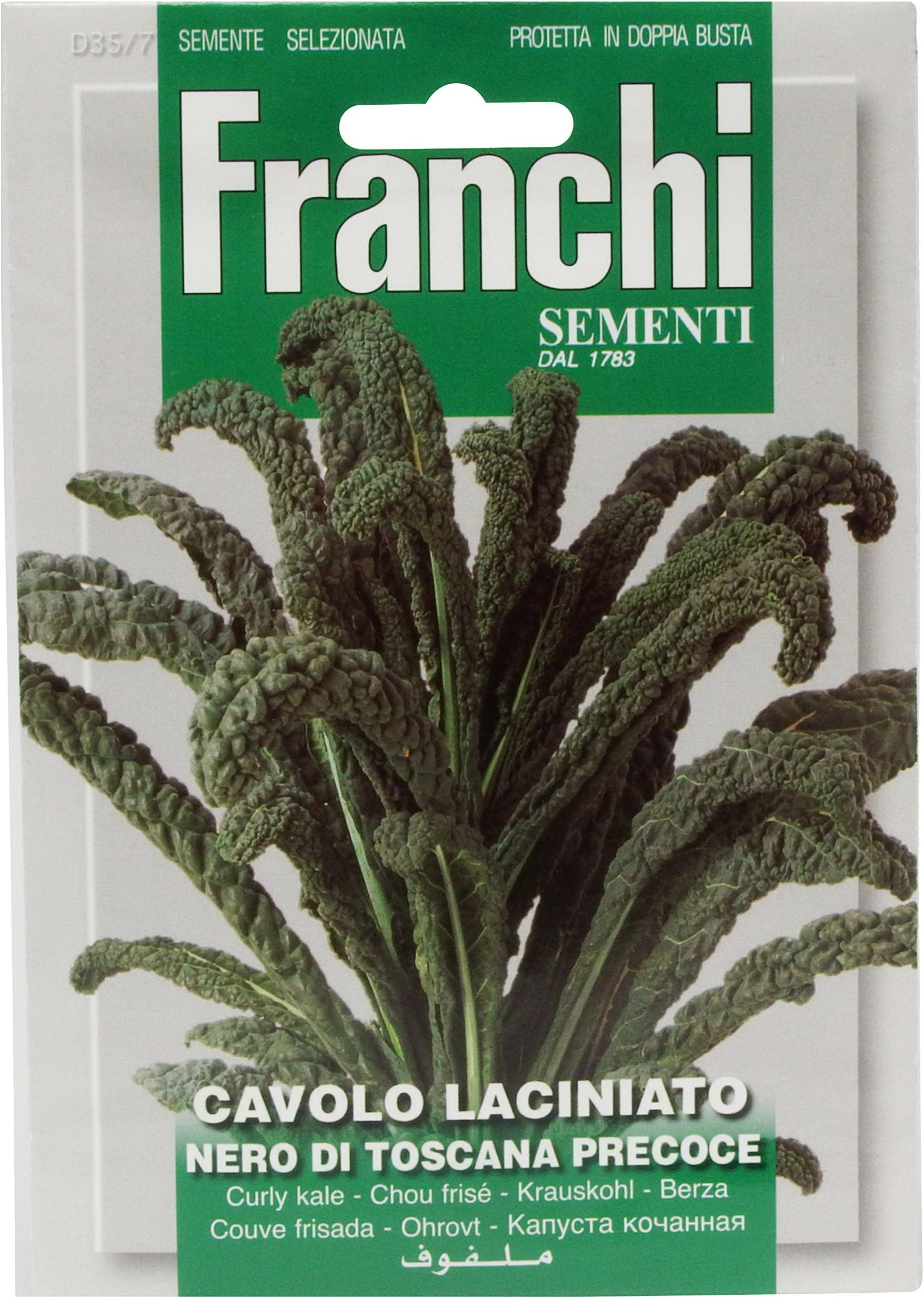 Franchi Cavolo Nero of Tuscany