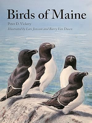 Birds of Maine