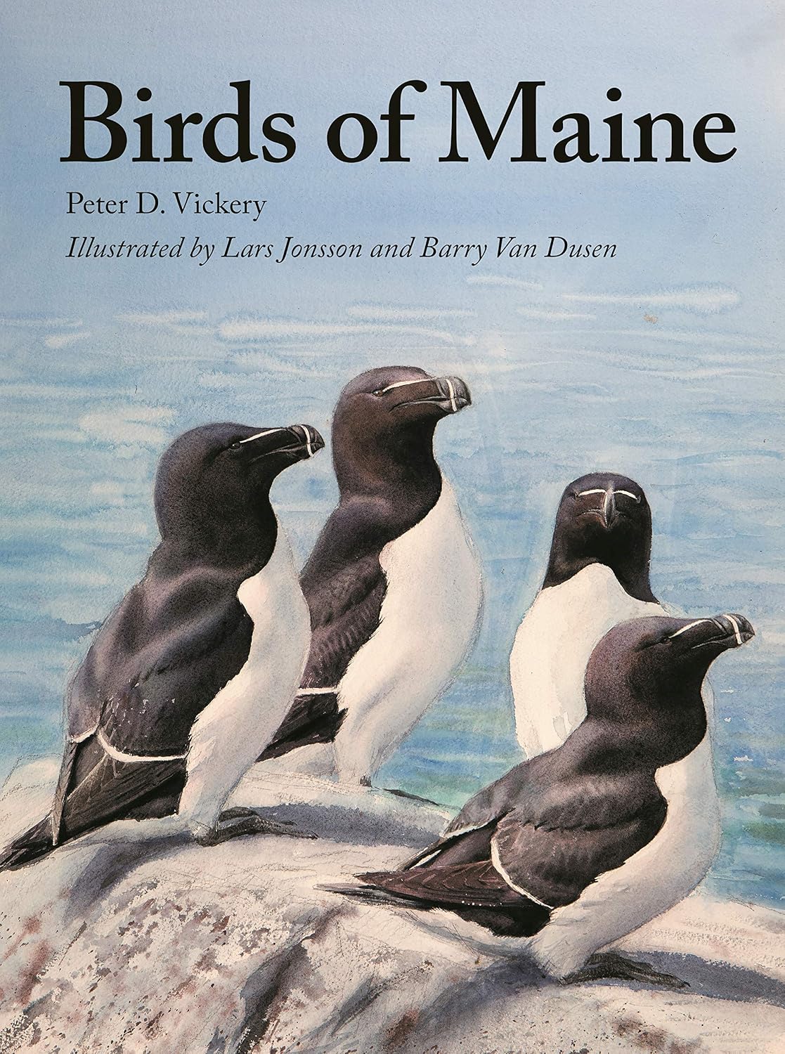 Birds of Maine