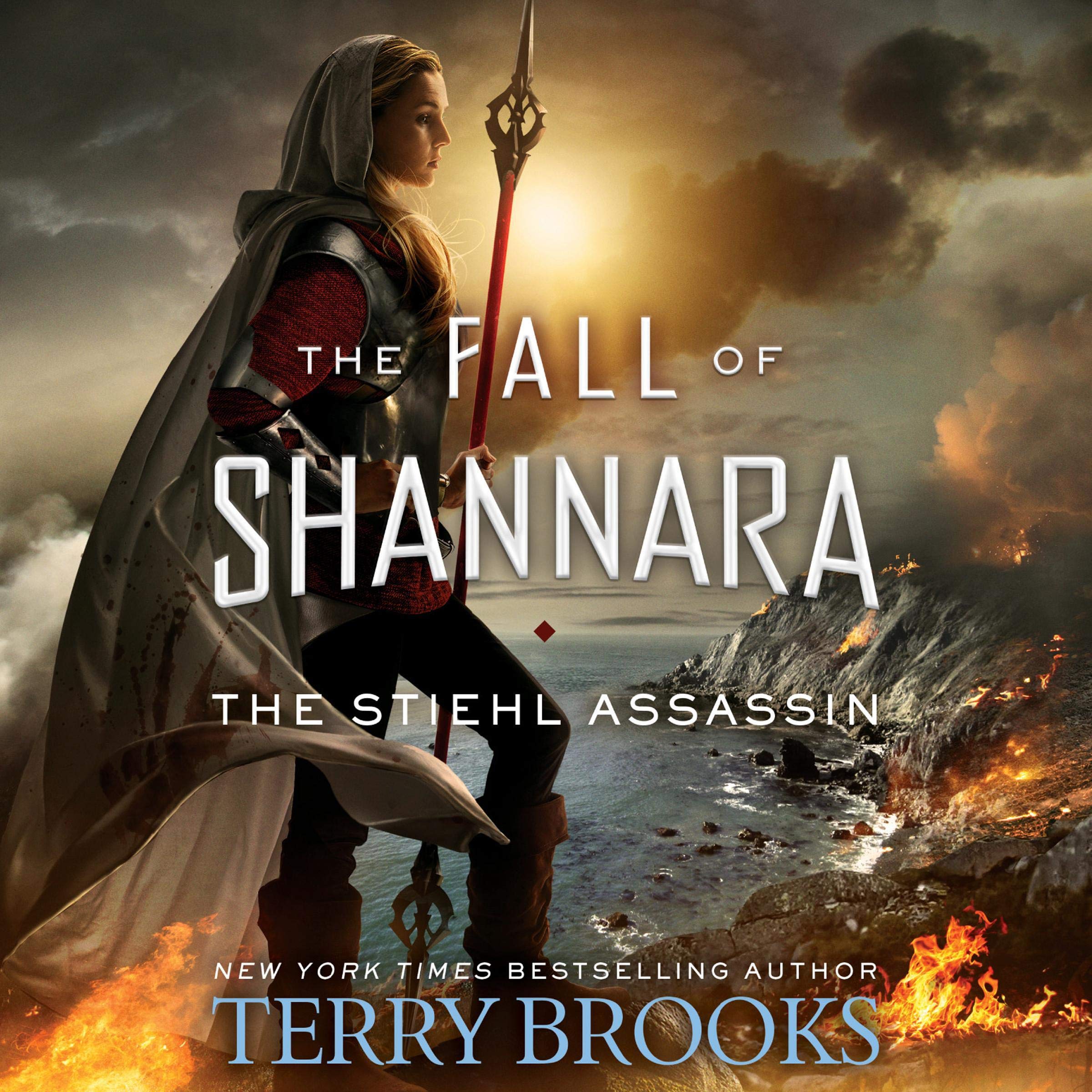 Cover art for The Stiehl Assassin
