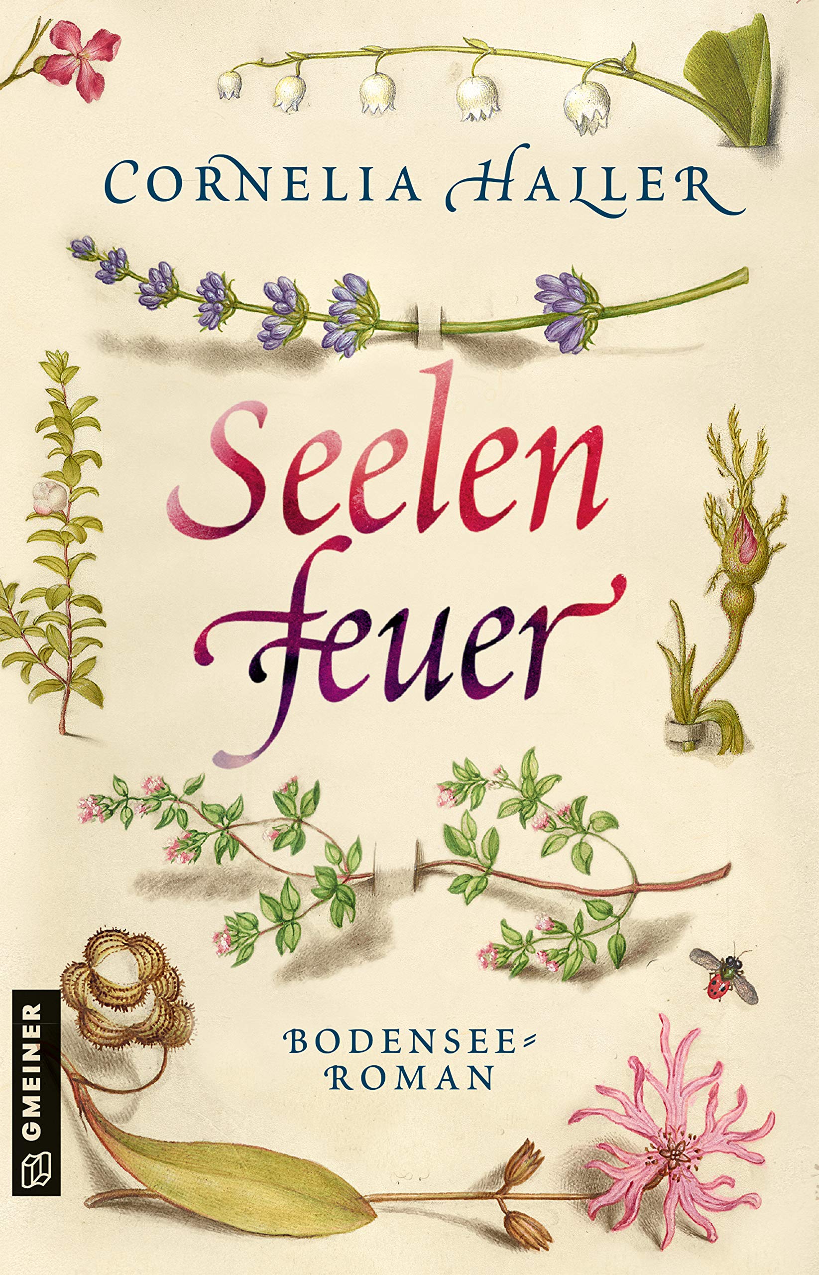 Seelenfeuer: Bodensee-Roman (Heilerin Luzia Gassner 1)