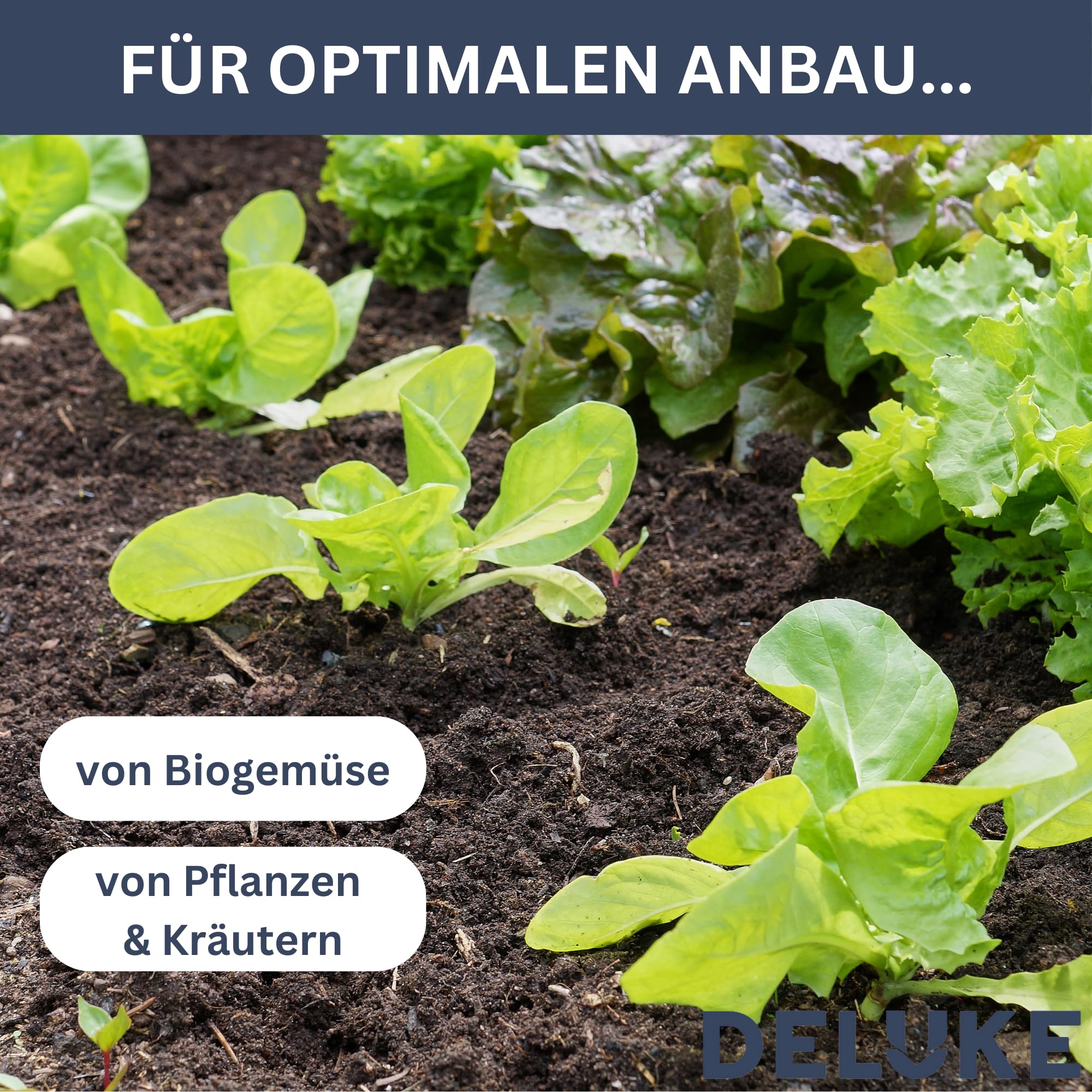 DELUKE Pflanzkasten Blumenkasten RIOS braun | 2 Töpfe, 30x30x30cm, Tannenholz |Blumenkübel aus Holz Pflanzkübel quadratisch Pflanzgefäß für Garten Balkon