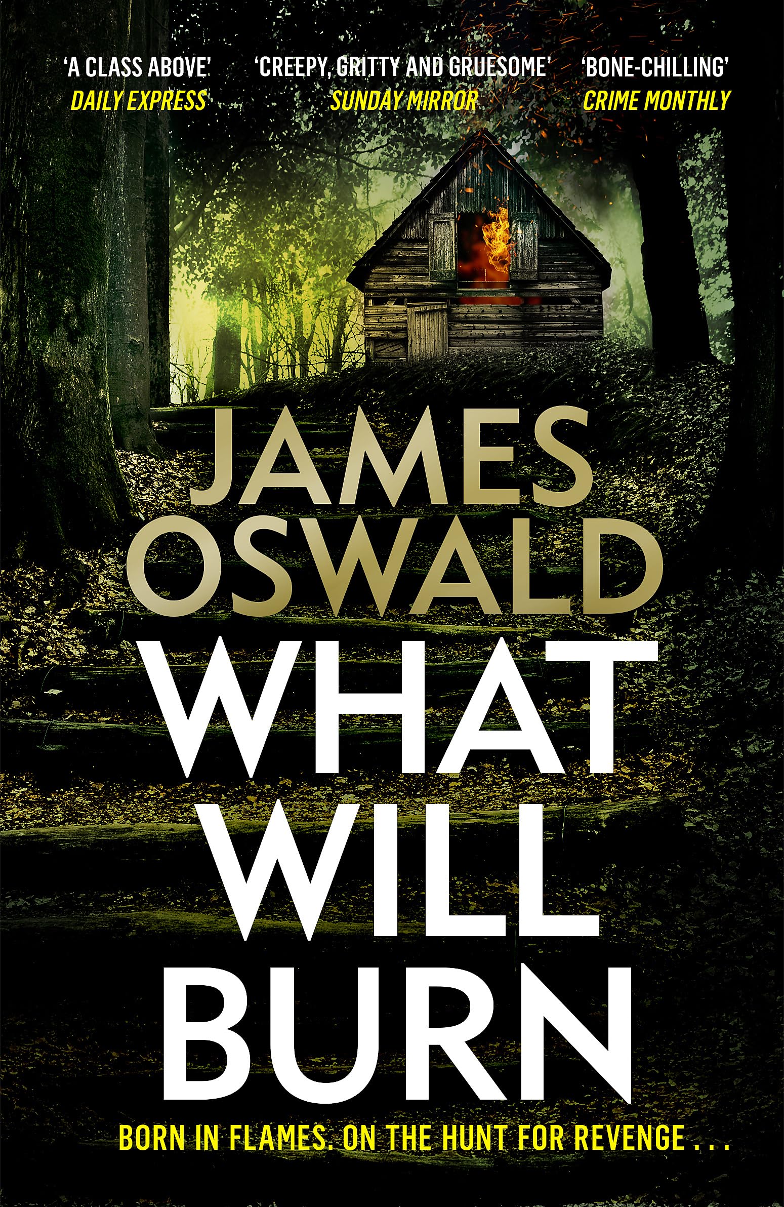 What Will Burn: the eleventh gripping thriller in the Sunday Times bestselling Inspector McLean series (The Inspector McLean Series) Paperback – 30 Sept. 2021