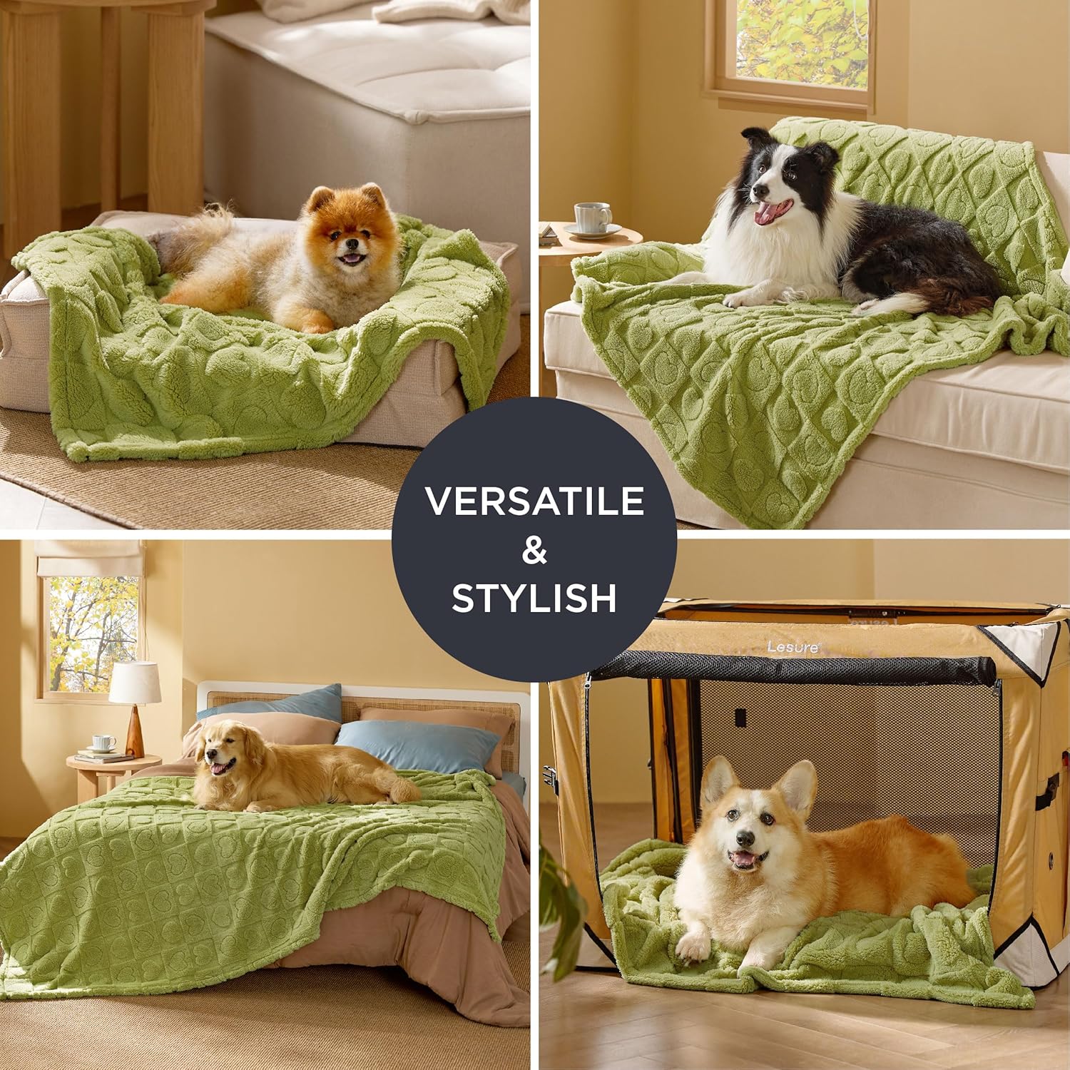 Bedsure Dog Blanket for Medium Dogs Washable - Fluffy Fuzzy Puppy Cat Blanket with Premium 300GSM Coral Fleece Soft for Pet Kitten Doggy, Green, 30x40IN - Image 4