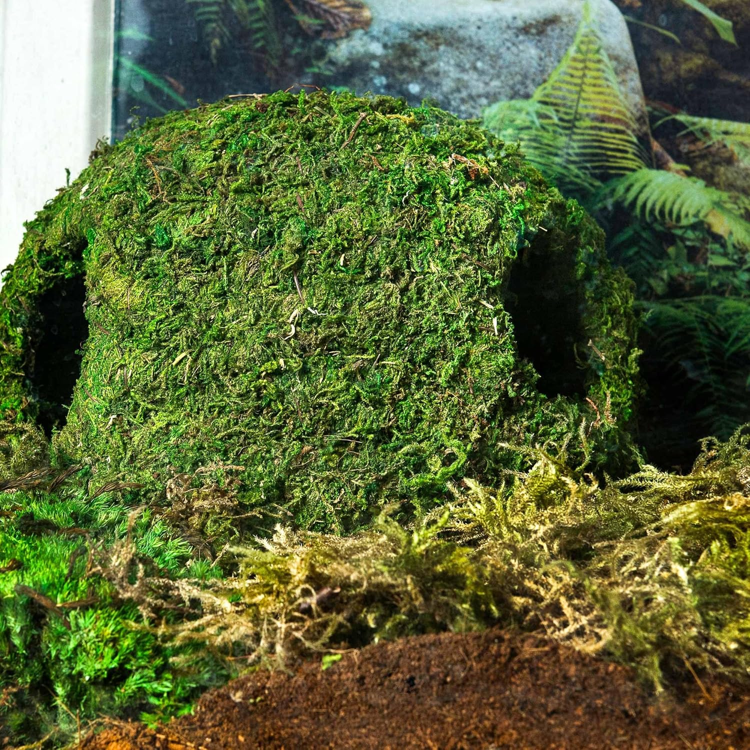 Galápagos (05344) Mossy Cave with Holes | Natural Reptile Hide for Bearded Dragons, Geckos, Snakes, Tortoises, Frogs, Hermit Crabs, and Lizards | Terrarium Decor, 7.5in Diameter