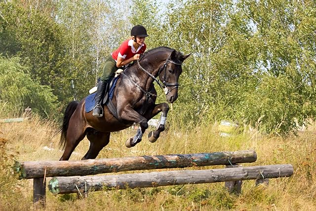 Foto 4 de 8 de Equine Synergy COOKIES MOVIN' Y GROOVIN' con cúrcuma