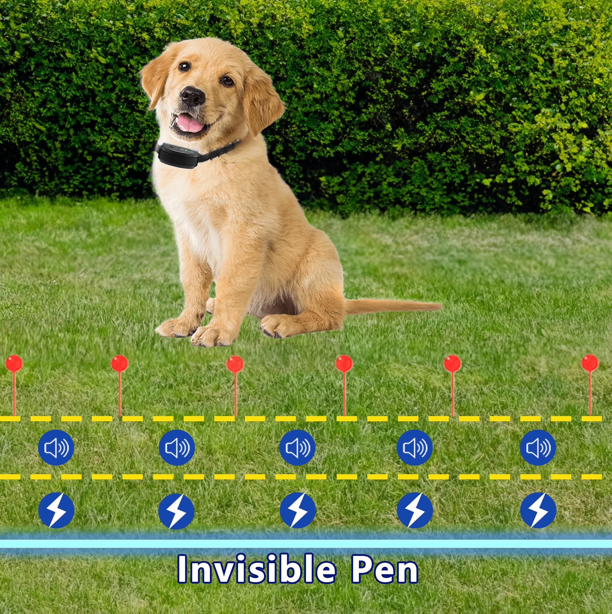 Fence System Best In Ground Electric Dog Fence Best Above Ground