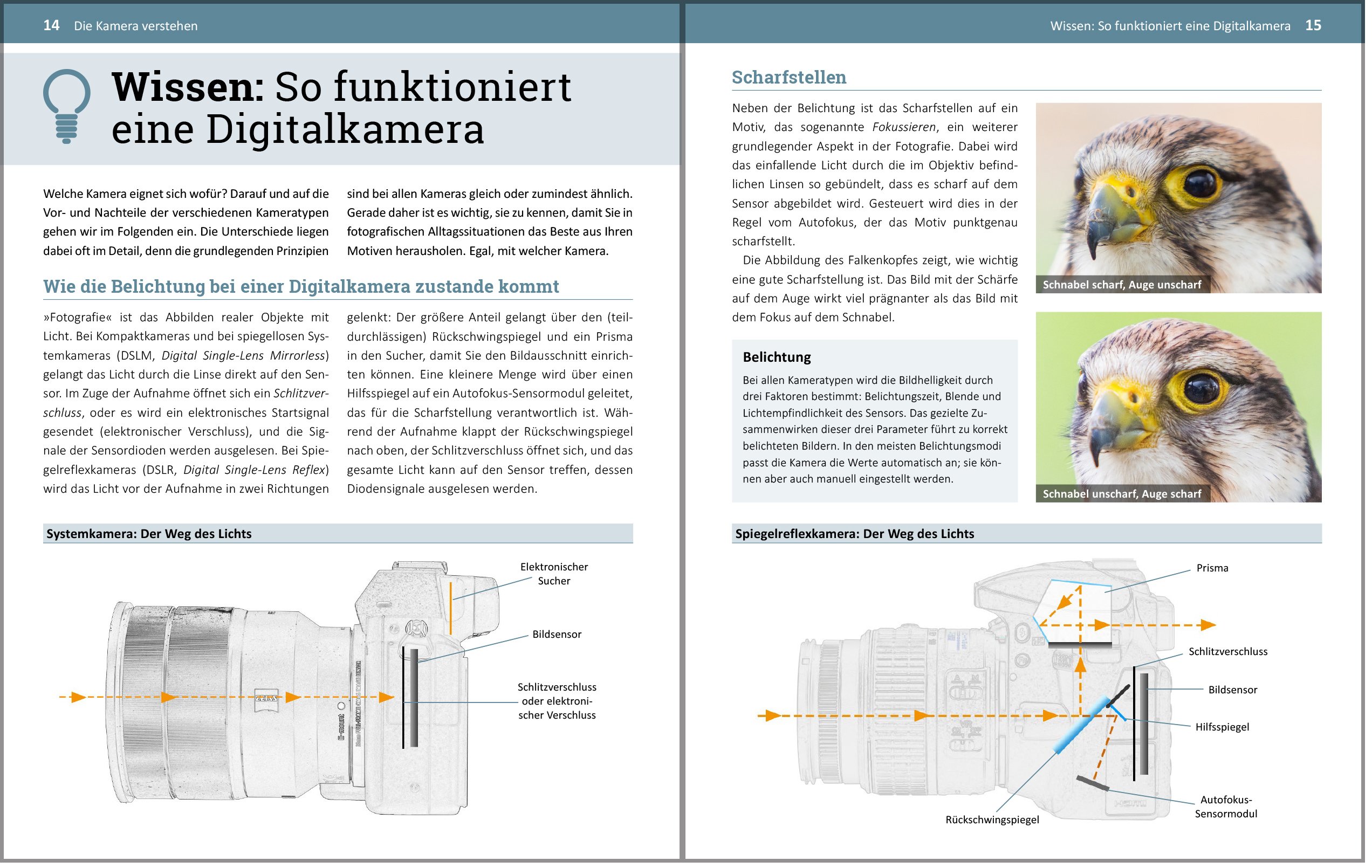 Fotografieren für Einsteiger: Richtig fotografieren lernen. Der Fotokurs für Anfänger mit der Spiegelreflex-, System- und Kompaktkamera